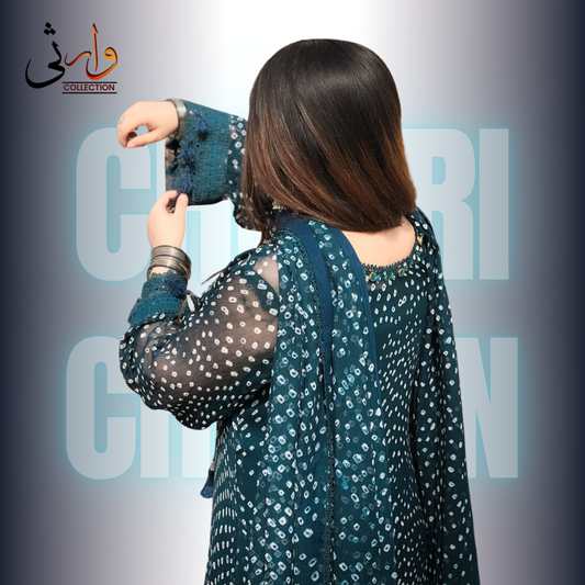 Rajistani Chiffon Chunri Znic