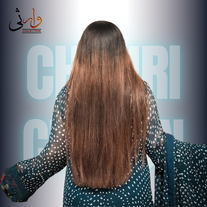 Rajistani Chiffon Chunri Znic